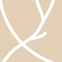 Vespucci Partners logo