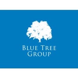 Blue Tree Group | Investment Banking logo
