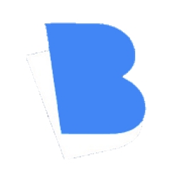 Bricsky Holdings logo