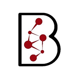 BKR Capital logo