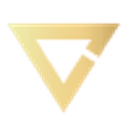 Vintage Capital Investments logo