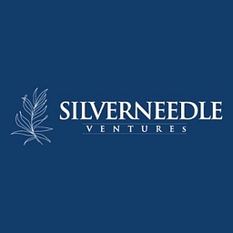 Silverneedle Ventures logo