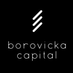 Borovicka Capital logo