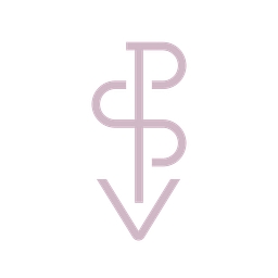 Pink Salt Ventures logo