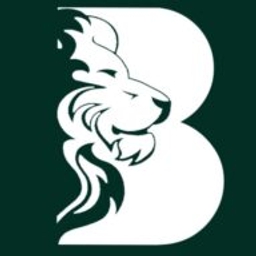 BMGD Capital logo