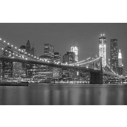 Leading Impact Capital logo