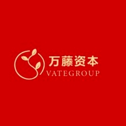 Vategroup Capital logo