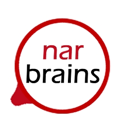 narbrains logo