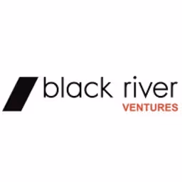 Black River Ventures (BRV) logo