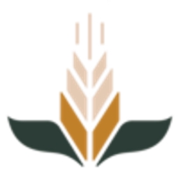 Virtuous Capital logo