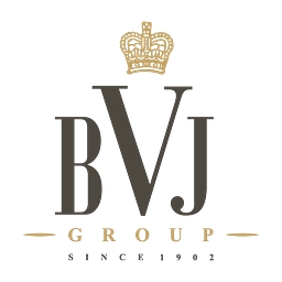 BVJ Group logo