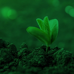 Greenbackers Investment Capital logo