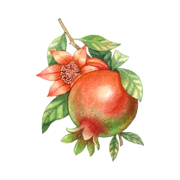 Pomegranate Ventures logo