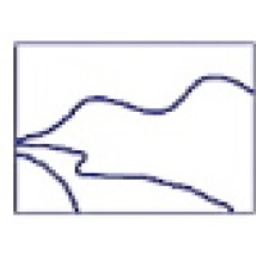 Ocean Road Partners logo