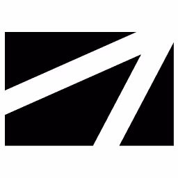 BRAVEN logo