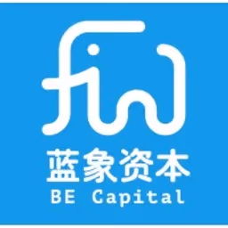 Blue Elephant Capital 蓝象资本 logo