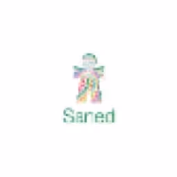 Saned Equity Partners logo
