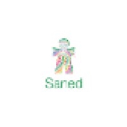 Saned Equity Partners logo
