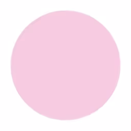 Lollipop Capital Ltd logo