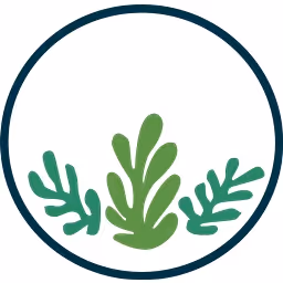 ORI Capital logo