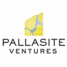 Pallasite Ventures Inc. logo