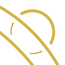 Psion Partners logo