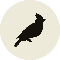 Black Jays Ventures logo