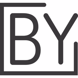 BY Venture Partners logo