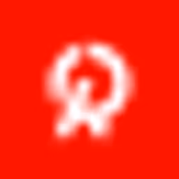 Race Capital logo
