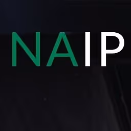 NAIP: Nigerian American Investment Partners logo