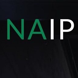NAIP: Nigerian American Investment Partners logo