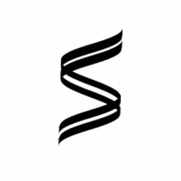 Silver Surfer Ventures logo