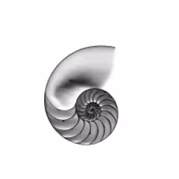 Nautilus Venture Partners logo