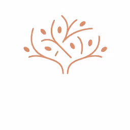 ALFA Ventures logo