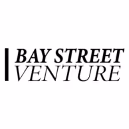 Bay Street Ventures logo
