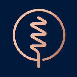 Razor Capital logo