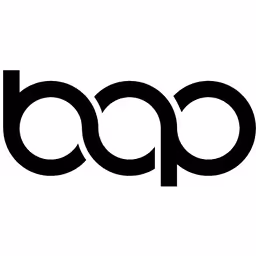 Bridge Alliance Partners logo