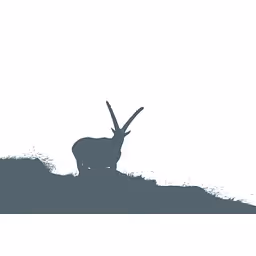 IBEX Equity Partners logo