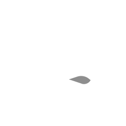 Active Capital logo