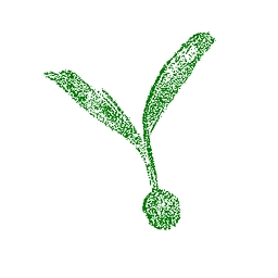 Seed Club Ventures logo