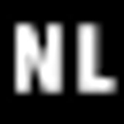 New Luna Ventures logo