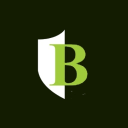 Boutique Venture Partners logo