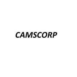 CAMSCORP FOUNDATION logo