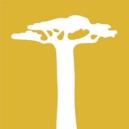 Persistent logo