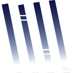 Night Rain Ventures logo