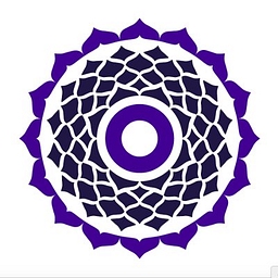 True Wealth Ventures logo