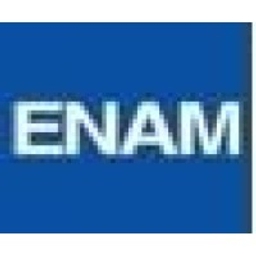 ENAM logo