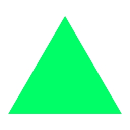 N49P Ventures logo