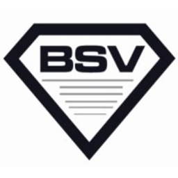 Bootstrap Ventures logo