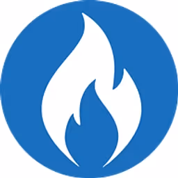 Nurse Capital logo